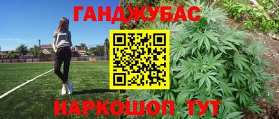 крисы Будённовск