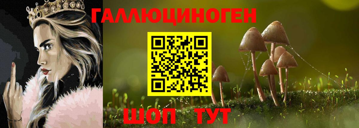 Самара  Псилоцибиновые грибы MAGIC MUSHROOMS  Вход с VPN 